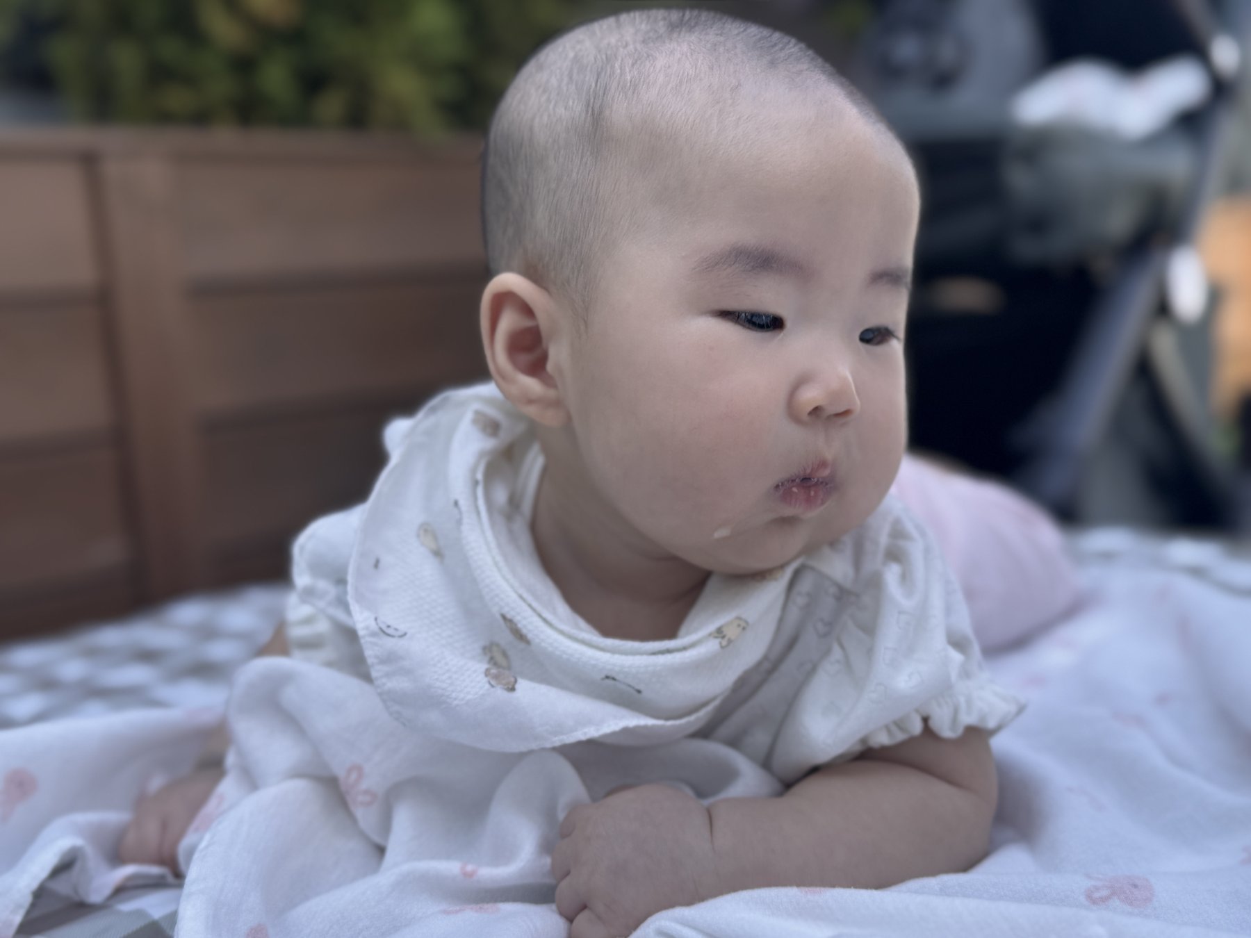 공원에서 엎드려 노는 태리