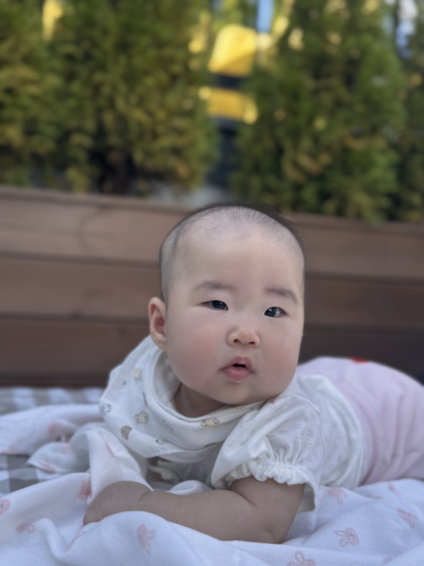 호수공원에서 카메라를 바라보는 태리